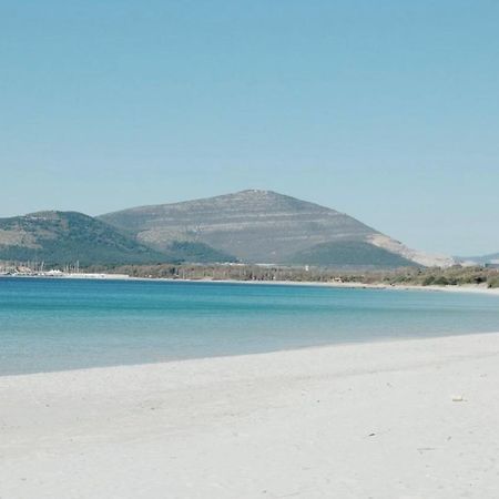 Saho Apartment Αλγκέρο Εξωτερικό φωτογραφία
